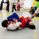 본국무예원 합기도, 검도, 국궁활쏘기 옥정본관 이미지