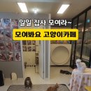 모여봐요 고양이카페 이미지