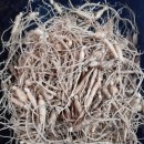 교산농장 이미지