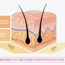 드림의원 이미지