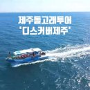 UR(서귀포시)-[동일하모로]-하-9 | 제주돌고래투어 제주도 가볼만한곳 TOP 3 디스커버제주