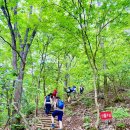 제70회 제천 작은동산 및 청풍호수 산행 공지 이미지