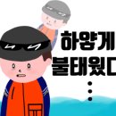 김밥말자 이미지