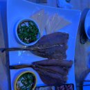 시크릿호프 이미지