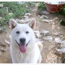 박사농장 이미지