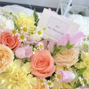 신월동181 이미지