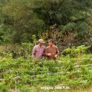 호두까기 이미지