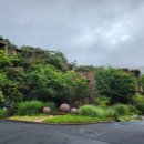 포레스트 리솜 이미지