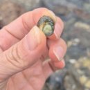 별헤는 몰랑 이미지