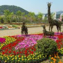 꽃나루공원 이미지