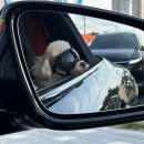 별하한옥펜션 이미지