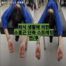 블랑꼬피트니스태장점 이미지