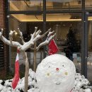 미그린약국 이미지