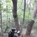 부산시립정신병원 이미지