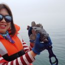 항구낚시 슈퍼 이미지