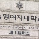 [단독]교육부 "無관여"…숙대, '김건희 논문 검증' 총장 재표결 강행하나 이미지