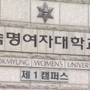 [단독]교육부 &#34;無관여&#34;…숙대, &#39;김건희 논문 검증&#39; 총장 재표결 강행하나 이미지