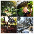 팔팔낙지 이미지