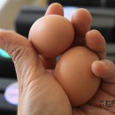 해샘찬농장 이미지