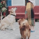 양하무역산업동물병원 | 저출산이 만든 새로운 시장: 키즈 케어 → 펫 케어로 이동하는 소비 흐름