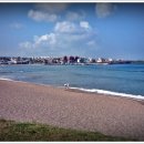 내도알작지 이미지