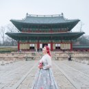 소울버드스냅 이미지