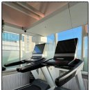 머스트 짐 이미지