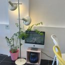 해브모어 이미지