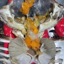 12일- 주낙민어,18미트롤고등어,20미생물오징어, 새우장, 칠게장, 붉새우젓, 꽁멸, 멸치, 오징어젓갈, 명란판매- 목포먹갈치생선 이미지