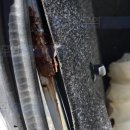 은하부분정비 이미지