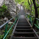 박곡천 Daum카페