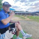 팻 빌리지 이미지