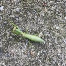 용균농장 이미지