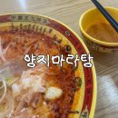 현지인 마라탕집 추천ㅣ양지마라탕 내돈내산 후기