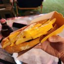 디지스도그 이미지