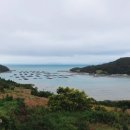 마당민박 이미지