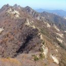 우모복 조끼 네이버블로그