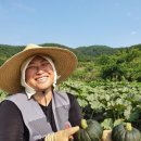 친환경농부 네이버블로그