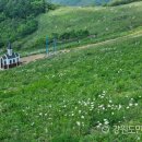 명성화원 이미지