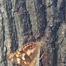 자연-어울림 이미지