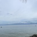 고래곰탕 | 세부 4박 6일 커플 여행 1일차｜태풍 속 오슬롭 고래상어 &amp; 모알보알