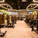 하이랙스 이미지