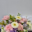 집드림공인중개사사무소 이미지