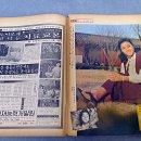 선데이79 이미지