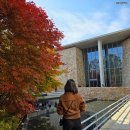 뮤지엄산(페이퍼갤리러) | 가을 단풍 맛집 원주는 은행나무 말고 안도다다오 뮤지엄산