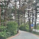 양양 2박3일 여행 빈틈없이 놀자 더앤리조트 양양 중심 코스 볼거리 맛집 액티비티 숙소 총정리