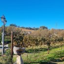 토르농장 이미지