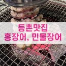[등촌맛집] 홍장어, 민물장어 먹은 후기- 내돈내산