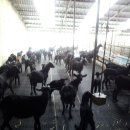 이학영 농장 이미지