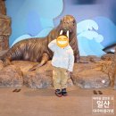 (주)와우모바일 | (아이랑 갈만한 곳) 일산 아쿠아플라넷 입장료 할인 및 주차 정보